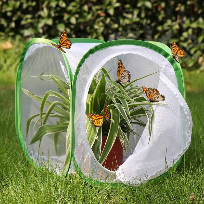 RESTCLOUD Insect and Butterfly Habitat Cage Terrarium Pop-up 12 X 12 X 12 Inches, Polyester Bottom for Easier Clean - Image 2
